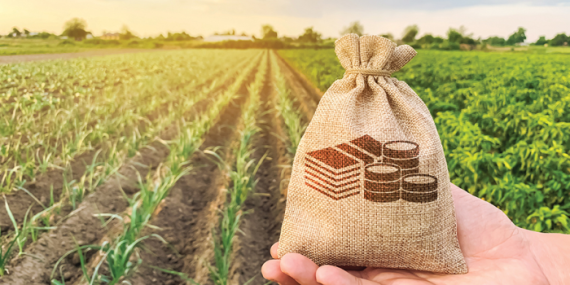 Kırsal kalkınmaya dev destek: 30 milyon liraya kadar hibe verilecek