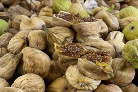 kuru-meyve-ihracat-turkiye