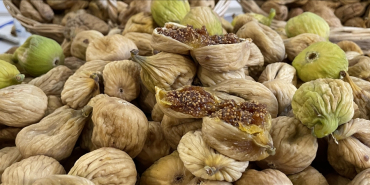 kuru-meyve-ihracat-turkiye