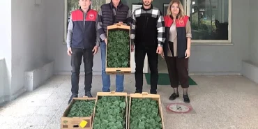 luleburgaz-da-hiyar-uretimine-destek-9049