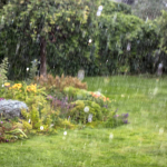 Türkiye genelinde mart ayında etkili olan yağış görüntüsü