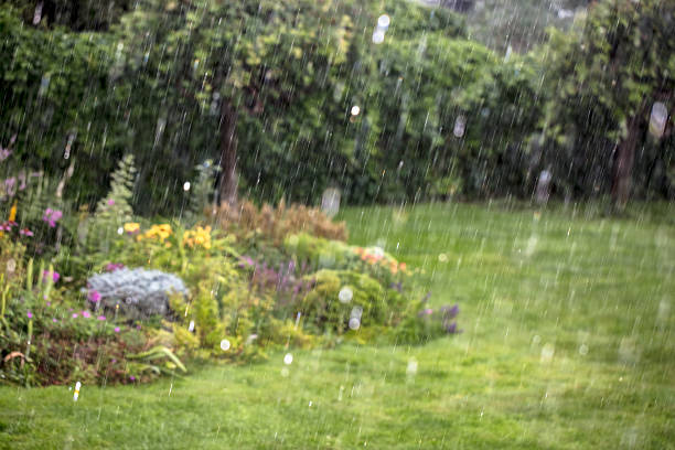 Türkiye genelinde mart ayında etkili olan yağış görüntüsü