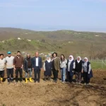 Nilüfer’de dikilen böğürtlen fidanları ve tarım alanı