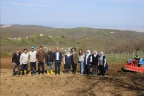 Nilüfer’de dikilen böğürtlen fidanları ve tarım alanı