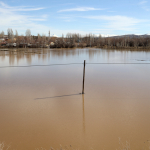 Sivas’ta taşkın sonrası sular altında kalan tarım arazileri