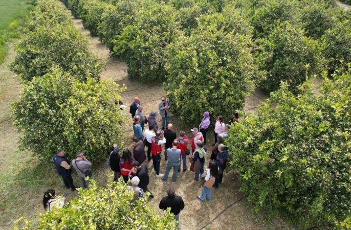 tarimda-devrim-niteliginde-egitim-modeli-mugla-da-basliyor-1-1776329978