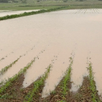 thumbs_b_c_f9e5859b430328e13d9fb2570ad66f54