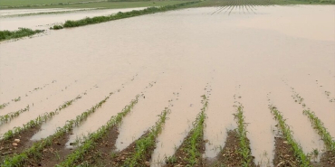 thumbs_b_c_f9e5859b430328e13d9fb2570ad66f54