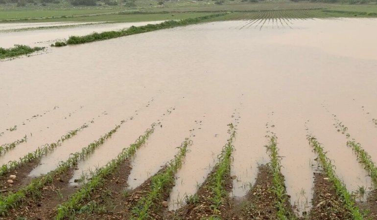 thumbs_b_c_f9e5859b430328e13d9fb2570ad66f54