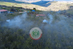 zirai_don_hasadi_2_da235