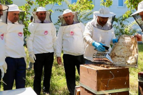 İngiltere’ye ihraç edilmek üzere hazırlanan Ordu balı