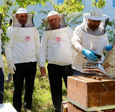 İngiltere’ye ihraç edilmek üzere hazırlanan Ordu balı