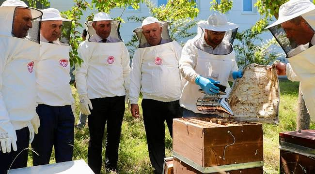 İngiltere’ye ihraç edilmek üzere hazırlanan Ordu balı