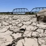 super-el-nino-tarim-fon-500-milyon-dolar