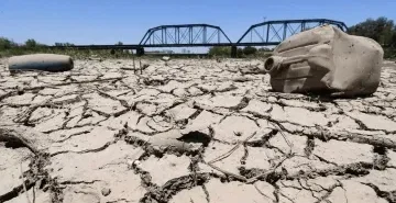 super-el-nino-tarim-fon-500-milyon-dolar