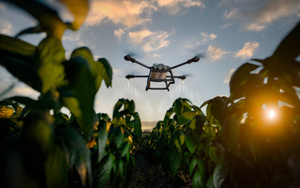 Balıkesir'de yapay zekâ destekli tarım uygulamalarında drone ile tarım arazilerinin analiz edilmesi