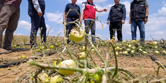 TARSİM yönetimi Tekirdağ’da dolu hasarını yerinde inceledi