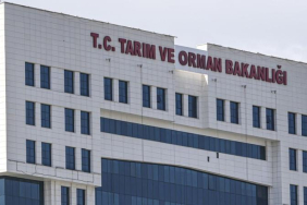 Tarım ve Orman Bakanlığı, 1874 sözleşmeli personel alımı için başvuruları 27 Temmuz-9 Ağustos tarihleri arasında kabul edecek.